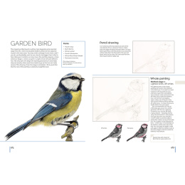 Anna Mason's Watercolour World in de groep Creëren & Hobby / Boeken / Inspiratieboeken bij Voorcrea (137202)