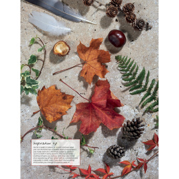 Anna Mason's Watercolour World in de groep Creëren & Hobby / Boeken / Inspiratieboeken bij Voorcrea (137202)