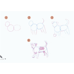 Draw 30: Animals in de groep Creëren & Hobby / Boeken / Instructieboeken bij Voorcrea (137210)