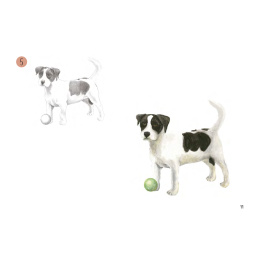 Draw 30: Animals in de groep Creëren & Hobby / Boeken / Instructieboeken bij Voorcrea (137210)