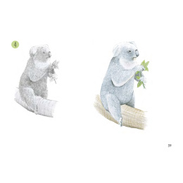 Draw 30: Animals in de groep Creëren & Hobby / Boeken / Instructieboeken bij Voorcrea (137210)