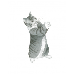 Draw 30: Cats in de groep Creëren & Hobby / Boeken / Instructieboeken bij Voorcrea (137211)