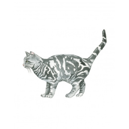 Draw 30: Cats in de groep Creëren & Hobby / Boeken / Instructieboeken bij Voorcrea (137211)