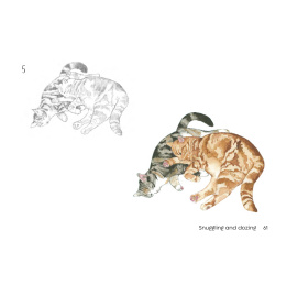 Draw 30: Cats in de groep Creëren & Hobby / Boeken / Instructieboeken bij Voorcrea (137211)