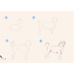 Draw 30: Dogs in de groep Creëren & Hobby / Boeken / Instructieboeken bij Voorcrea (137213)