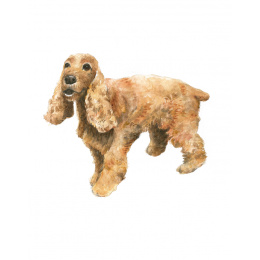 Draw 30: Dogs in de groep Creëren & Hobby / Boeken / Instructieboeken bij Voorcrea (137213)