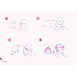 Draw 30: Dogs in de groep Creëren & Hobby / Boeken / Instructieboeken bij Voorcrea (137213)