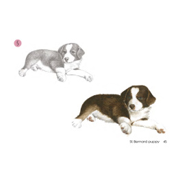 Draw 30: Dogs in de groep Creëren & Hobby / Boeken / Instructieboeken bij Voorcrea (137213)