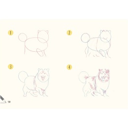 Draw 30: Dogs in de groep Creëren & Hobby / Boeken / Instructieboeken bij Voorcrea (137213)