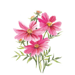 Draw 30: Flowers in de groep Creëren & Hobby / Boeken / Instructieboeken bij Voorcrea (137215)