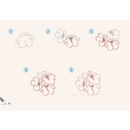 Draw 30: Flowers in de groep Creëren & Hobby / Boeken / Instructieboeken bij Voorcrea (137215)