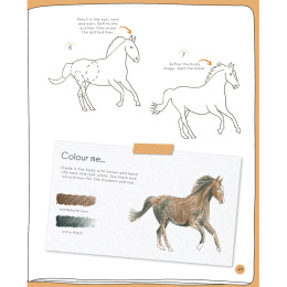 Draw in 10 Minutes: Animals in de groep Creëren & Hobby / Boeken / Instructieboeken bij Voorcrea (137218)