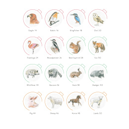 Draw in 10 Minutes: Animals in de groep Creëren & Hobby / Boeken / Instructieboeken bij Voorcrea (137218)