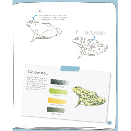 Draw in 10 Minutes: Animals in de groep Creëren & Hobby / Boeken / Instructieboeken bij Voorcrea (137218)