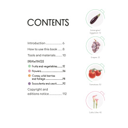 Draw in 10 Minutes: Botanicals in de groep Creëren & Hobby / Boeken / Instructieboeken bij Voorcrea (137219)