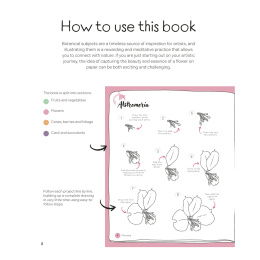Draw in 10 Minutes: Botanicals in de groep Creëren & Hobby / Boeken / Instructieboeken bij Voorcrea (137219)
