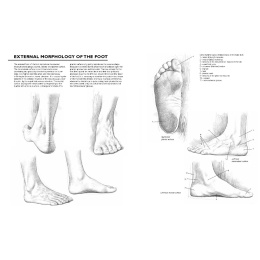 Drawing: A Complete Guide in de groep Creëren & Hobby / Boeken / Inspiratieboeken bij Voorcrea (137220)