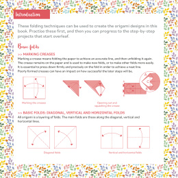 Flower Power! 25 Origami Projects in de groep Creëren & Hobby / Boeken / Instructieboeken bij Voorcrea (137221)