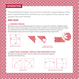 Hola Mexico! 25 Origami Projects in de groep Creëren & Hobby / Boeken / Instructieboeken bij Voorcrea (137222)