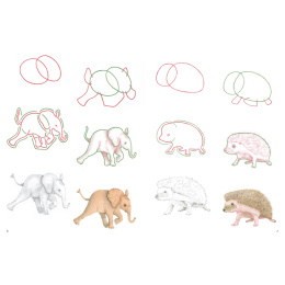 How to Draw: Baby Animals in de groep Creëren & Hobby / Boeken / Instructieboeken bij Voorcrea (137223)