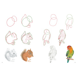 How to Draw: Baby Animals in de groep Creëren & Hobby / Boeken / Instructieboeken bij Voorcrea (137223)