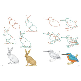 How to Draw: Nature in de groep Creëren & Hobby / Boeken / Instructieboeken bij Voorcrea (137224)