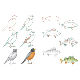 How to Draw: Nature in de groep Creëren & Hobby / Boeken / Instructieboeken bij Voorcrea (137224)