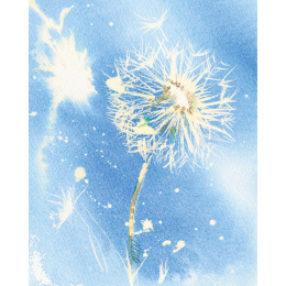Loose and Lively Flowers in Watercolour, Inks & Mixed Media in de groep Creëren & Hobby / Boeken / Inspiratieboeken bij Voorcrea (137226)