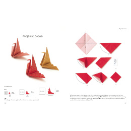 Origami for the Absolute Beginner in de groep Creëren & Hobby / Boeken / Instructieboeken bij Voorcrea (137227)