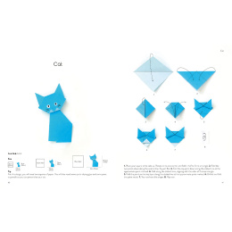 Origami for the Absolute Beginner in de groep Creëren & Hobby / Boeken / Instructieboeken bij Voorcrea (137227)