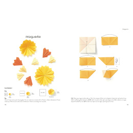 Origami for the Absolute Beginner in de groep Creëren & Hobby / Boeken / Instructieboeken bij Voorcrea (137227)