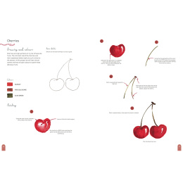 Paint 50: Watercolour Nature in de groep Creëren & Hobby / Boeken / Instructieboeken bij Voorcrea (137229)