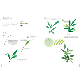 Paint 50: Watercolour Nature in de groep Creëren & Hobby / Boeken / Instructieboeken bij Voorcrea (137229)