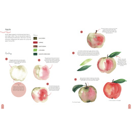 Paint 50: Watercolour Nature in de groep Creëren & Hobby / Boeken / Instructieboeken bij Voorcrea (137229)