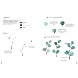 Paint 50: Watercolour Nature in de groep Creëren & Hobby / Boeken / Instructieboeken bij Voorcrea (137229)