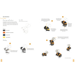 Paint 50: Watercolour Nature in de groep Creëren & Hobby / Boeken / Instructieboeken bij Voorcrea (137229)