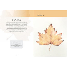 The Colour Mixing Guide: Watercolour Botanicals in de groep Creëren & Hobby / Boeken / Inspiratieboeken bij Voorcrea (137234)