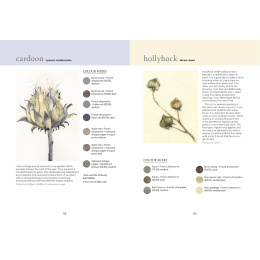 The Colour Mixing Guide: Watercolour Botanicals in de groep Creëren & Hobby / Boeken / Inspiratieboeken bij Voorcrea (137234)