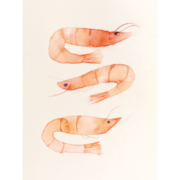 The Colour Mixing Guide: Watercolour Seashore in de groep Creëren & Hobby / Boeken / Inspiratieboeken bij Voorcrea (137235)