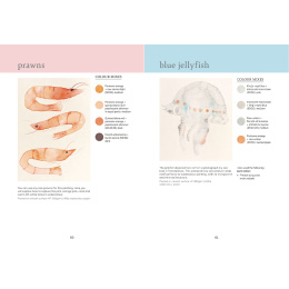 The Colour Mixing Guide: Watercolour Seashore in de groep Creëren & Hobby / Boeken / Inspiratieboeken bij Voorcrea (137235)