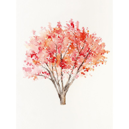 The Colour Mixing Guide: Watercolour Woodland in de groep Creëren & Hobby / Boeken / Inspiratieboeken bij Voorcrea (137236)