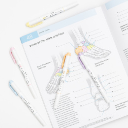 Mildliner 5-pack Gentle  in de groep Pennen / Kunstenaarspotloden en -stiften / Illustratiemarkers bij Voorcrea (137262)