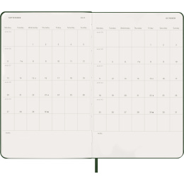 Kalender 12M Daily 2027 Hardcover Large Myrtle Green in de groep Papier & Blokken / Kalenders en agenda's / 12 maanden agenda's bij Voorcrea (137425)