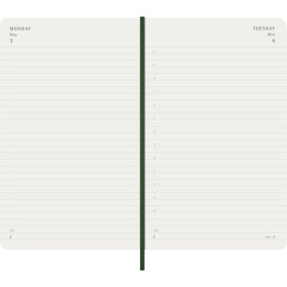 Kalender 12M Daily 2027 Softcover Large Myrtle Green in de groep Papier & Blokken / Kalenders en agenda's / 12 maanden agenda's bij Voorcrea (137430)