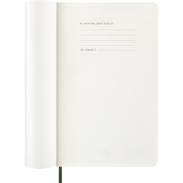 Kalender 12M Daily 2027 Softcover Large Myrtle Green in de groep Papier & Blokken / Kalenders en agenda's / 12 maanden agenda's bij Voorcrea (137430)