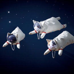 Potloodetui Astro Cat Hachiware in de groep Pennen / Accessoires voor pennen / Etuis en hoezen bij Voorcrea (137910)