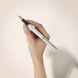 Meridian Chrome/Gold Vulpen  in de groep Pennen / Fine Writing / Vulpennen bij Voorcrea (138303_r)