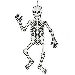 Skelet glow-in-the-dark 120 cm in de groep Kids / Feestdagen / seizoen voor kinderen / Kinder Halloween bij Voorcrea (138370)